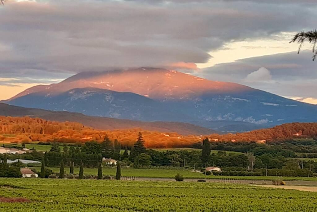 Le Clos Des Pins, Vue Mont Ventoux Roaix Екстер'єр фото
